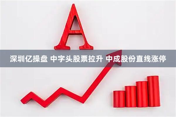 深圳亿操盘 中字头股票拉升 中成股份直线涨停