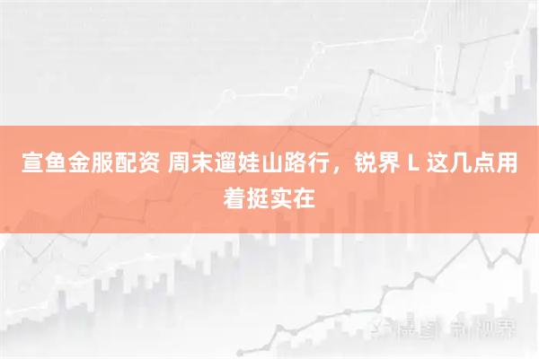 宣鱼金服配资 周末遛娃山路行，锐界 L 这几点用着挺实在