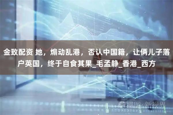 金致配资 她，煽动乱港，否认中国籍，让俩儿子落户英国，终于自食其果_毛孟静_香港_西方